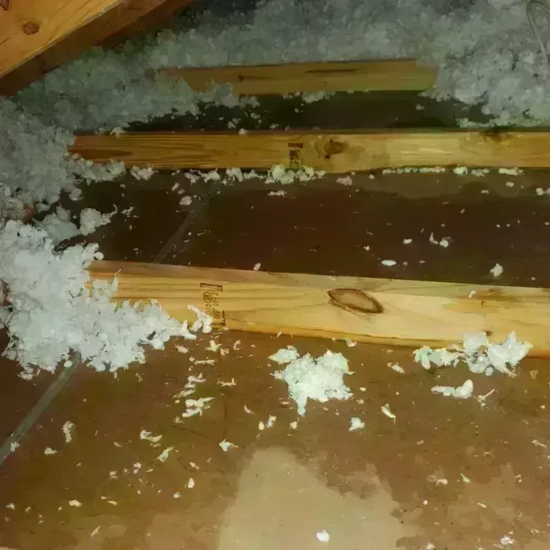 Attic Water Damage in Evergreen, AL