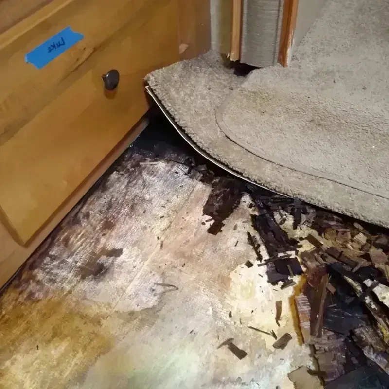 Wood Floor Water Damage in Evergreen, AL